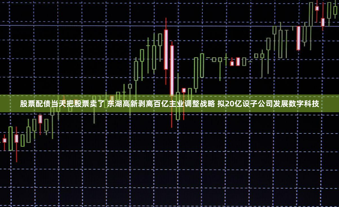 股票配债当天把股票卖了 东湖高新剥离百亿主业调整战略 拟20亿设子公司发展数字科技